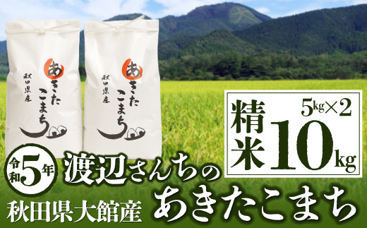 55P9006 【令和5年産】渡辺さん家のあきたこまち(精米)10kg(5kg×2袋