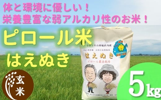 玄米】九代目又七のピロール農法米はえぬき5kg - 山形県三川町