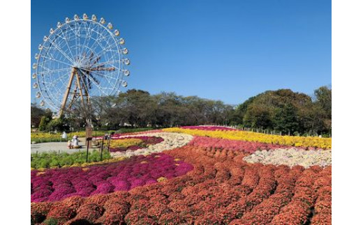 東武動物公園「入場券＋のりもの券10枚綴り」（ペア） - 埼玉県宮代町｜ふるさとチョイス - ふるさと納税サイト