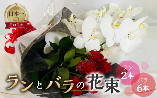 【母の日対応】ランとバラの花束 ラン2本 バラ 6本 花束 薔薇 胡蝶蘭