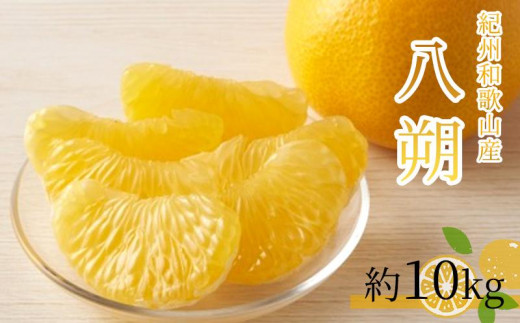 ya̎RߒqYzi͂j10kg@IBa̎R 炬Yy2026N2{`2026N2{ɏzyUT19z