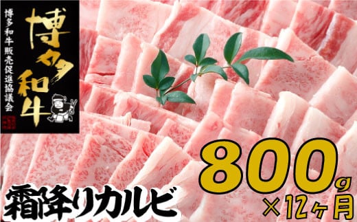 yV{zK051.yazASE`Tܑ~JrēWOO×PQ