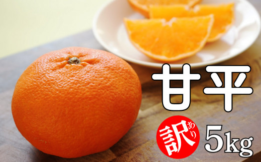 yQ쒬zs\ 󂠂 Õ 5kg  ݂  ʕ k t[c  s  x Â [[ W[X r^~C N e _   Q 쒬