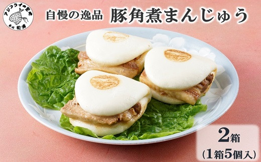 ふるさと納税 松浦市 自慢の逸品、豚角煮まんじゅう2箱(1箱5個入り) 自慢の逸品、豚角煮まんじゅう2箱(1箱5個入り)( 角煮 豚角煮 角煮まん