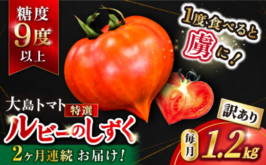 トマト 高糖度 3/26受付終了【2回定期便】【 訳あり 】 大島トマト