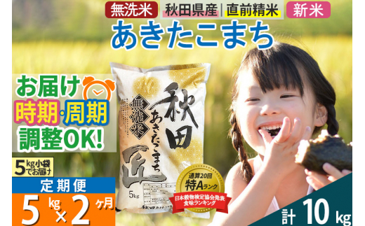 無洗米 《定期便2ヶ月》令和5年産 秋田県産 あきたこまち 5kg お米