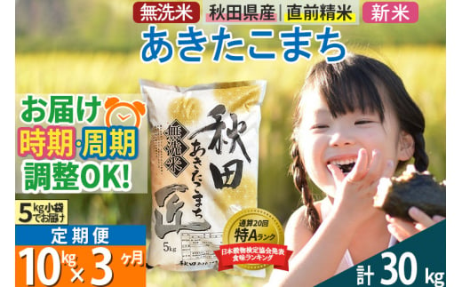 無洗米 《定期便3ヶ月》令和5年産 秋田県産 あきたこまち 10kg お米