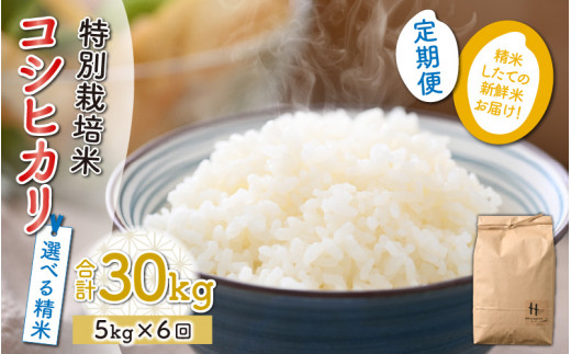 玄米】【令和5年産新米】《定期便6回》特別栽培米 コシヒカリ 5kg（計 ...