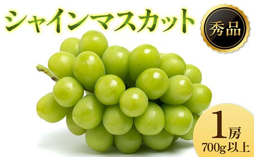 2026年先行受付》ぶどう「シャインマスカット」 秀品 1房(700g以上