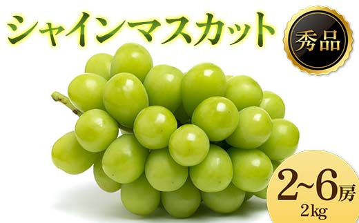 2026年先行受付》ぶどう「シャインマスカット」 秀品 2～6房(2kg