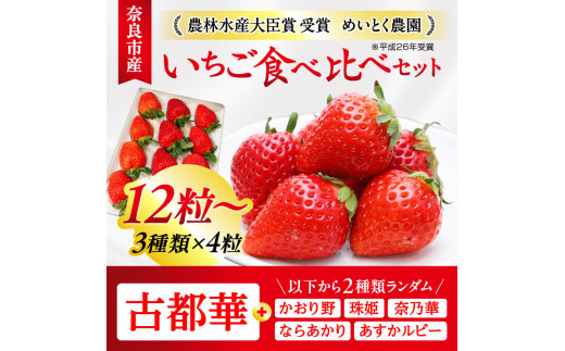 【数量限定】 古都 いちご 食べ比べセット （2024年1月以降発送） 古都華 奈良ブランド苺 苺 いちご イチゴ 苺 果物 フルーツ 奈良 なら  限定出荷 いちご 苺 奈良ブランド苺 イチゴ ブランド 古都華 大粒 苺 旬 産地 直送 フレッシュ イチゴ フルーツ 果物 国産 ベリー 贈答用 