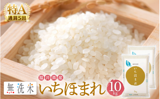 特A通算5回！無洗米 いちほまれ 15kg 令和5年 福井県産【お米 15キロ