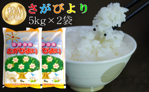 令和5年産 さがびより 10kg (5kg×2袋)【特A米 米 ブランド米 県産米