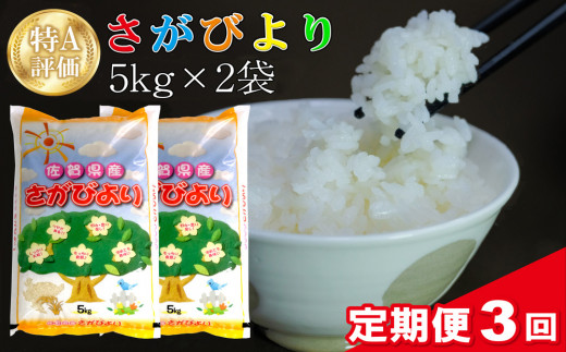 【3カ月定期便】令和5年産 さがびより 10kg (5kg×2袋)【特A米 米 ブランド米 県産米 精米 ごはん おにぎり お弁当 ふっくら  もっちり】 D2-C018322