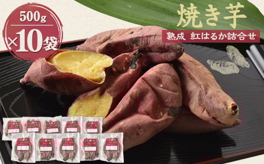 y錧݂szĂun@g͂邩vl×2Zbgy1900427z