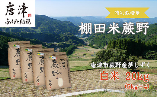 先行予約』【令和6年産】特別栽培棚田米「蕨野」5kg×４袋(合計20kg) 家庭排水が一切入らない自然水で作られたお米  10日に1回精米で新米のような味わい - 佐賀県唐津市｜ふるさとチョイス - ふるさと納税サイト