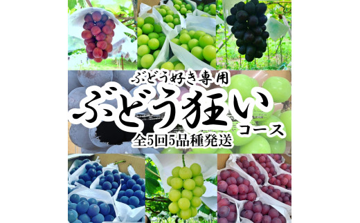 yRAvXsz2026Ns\񁄎RAvXY@Ԃǂ@yVC}XJbg܂ޏ{̂ԂǂTz{}甭@yց@1@S5z ALPAH0