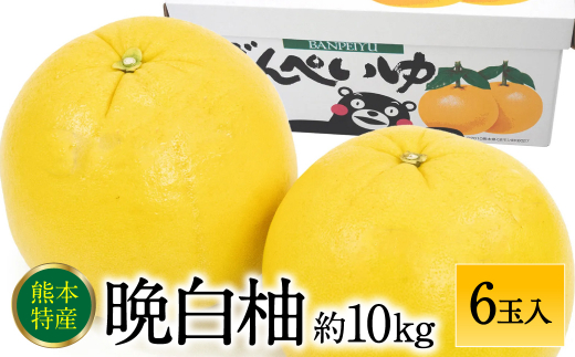 晩白柚Lサイズ6玉入り 約10kg 八代特産品 ばんぺいゆ 柑橘 - 熊本県