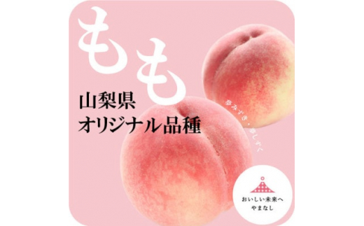 日本一の桃の里 山梨よりもぎたてを直送!山梨県オリジナル品種「夢