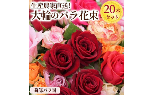 生産農家直送！大輪のバラ花束 20本セット | 20本 植物 花 華 お花 フラワー 生花 切り花 花持ち ばら バラ 薔薇 ローズ 花束 ブーケ  包装 ご家庭用 ギフト 記念日 誕生日 結婚記念日 結婚 送別 歓迎 イベント 発表会 卒業式 サプライズ お祝い