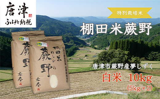 【令和6年産新米】特別栽培棚田米「蕨野」5kg×2袋(合計10kg) 家庭排水が一切入らない自然水で作られたお米 10日に1回精米で新米のような味わい  - 佐賀県唐津市｜ふるさとチョイス - ふるさと納税サイト