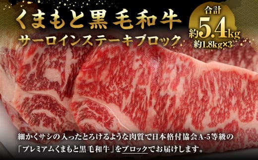 【熊本県相良村】くまもと黒毛和牛 サーロインステーキ ブロック 約5.4kg