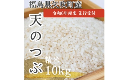 ＜令和6年度産　先行受付＞　天のつぶ(矢吹町中畑地区産)10kg(5kg×2袋)【1477963】