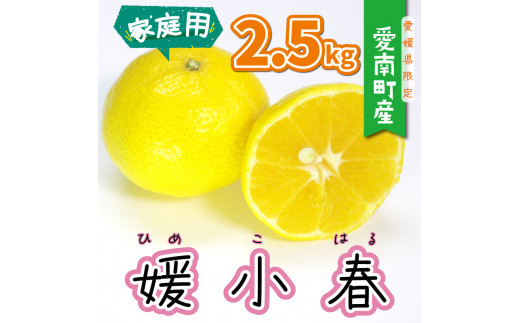 【 サンプル 糖度 13度 】 果樹園みどり の 媛小春 2.5kg （ 家庭用