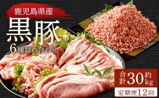 yFszy12ցzY 6l(2.5kg×12)   lߍ킹 Zbg [X o ؂藎Ƃ ~`  LS-302