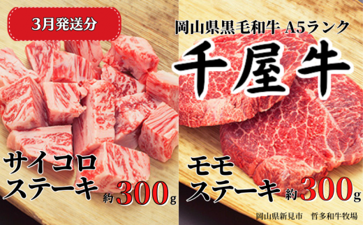 yRVszy2026N3z牮 TCREXe[LZbg(v600g) q꒼ A5N