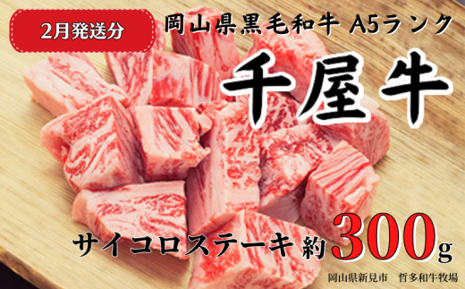 yRVszy2026N2z牮 TCRXe[L(300g) q꒼ A5N