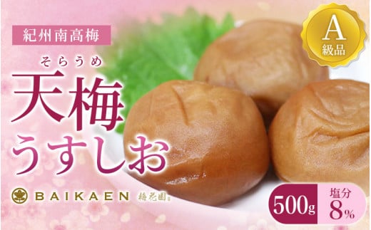 紀州南高梅 天梅(そらうめ)うすしお 500g 塩分約8％ A級品 大粒5Lサイズ / 梅干し 梅干 うめぼし 南高梅 国産 梅 うめ ウメ 健康  ご飯のお供 和歌山県 田辺市【bik004】 - 和歌山県田辺市｜ふるさとチョイス - ふるさと納税サイト