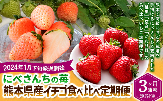 【2024年1月下旬発送開始】【3か月連続定期便】にべさんちの苺 熊本県産イチゴ食べ比べ定期便 (かおり野・桃薫・空音)