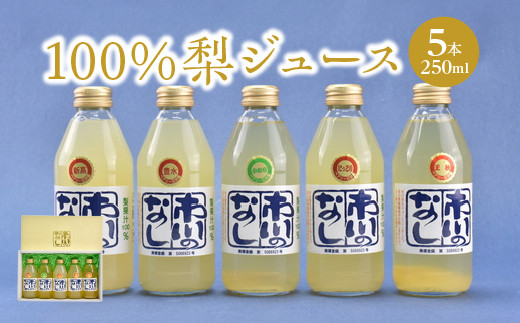 ytsszy12203-0050zʏ`POOW[X@250ml×5{Zbg