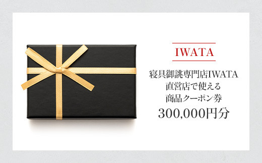 yꌧzIWATA@QoXIWATAcXŎg鏤iN[|y300,000~zAA094
