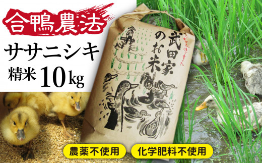 令和５年度産》武田家のお米 ササニシキ（精米）10kg＜合鴨農法＞【米