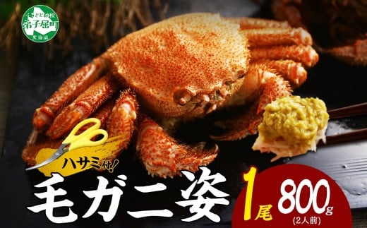 2986. ボイル毛蟹姿 800g 食べ方ガイド・専用ハサミ付 カニ かに 送料無料 北海道 弟子屈町 - 北海道弟子屈町｜ふるさとチョイス -  ふるさと納税サイト