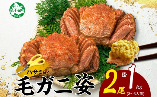 2987.毛蟹 2尾 計1kg前後 食べ方ガイド・専用ハサミ付 カニ かに 蟹 海鮮 ボイル 送料無料 北海道 弟子屈町 -  北海道弟子屈町｜ふるさとチョイス - ふるさと納税サイト