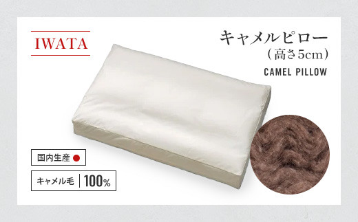 イワタ キャメルピロー 5cm キャメルピロー | 株式会社イワタ【IWATA】