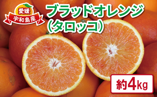 ブラッドオレンジ タロッコ 4kg つばさ農園 オレンジ 果物 フルーツ 