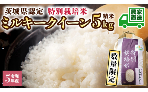 数量限定】令和5年産 茨城産 特別栽培米 ミルキークイーン 5kg 精米 米 こめ コメ 茨城県 白米 国産 いばらき 単一米 直送  [BG006ya] - 茨城県八千代町｜ふるさとチョイス - ふるさと納税サイト