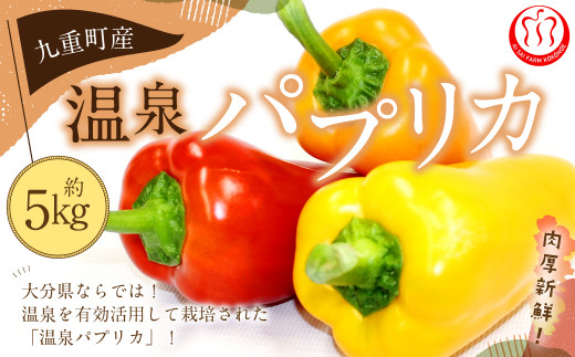 パプリカさん専用 大分県九重町産 温泉パプリカ 5kg - 大分県九重町｜ふるさとチョイス