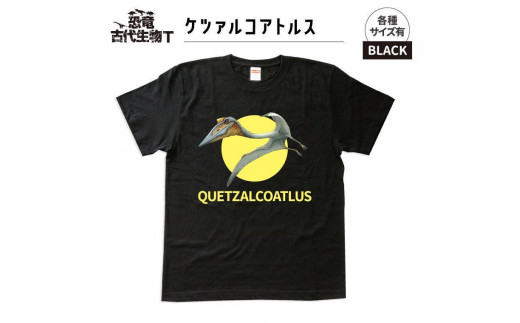 ふるさと納税 服 福島県 いわき市 恐竜・古代生物Tシャツ　ティラノサウルス 033　サイズＸＸＬ（レギュラー） ブラック　サイズＸＸＬ ふるさと納税 服 子ども 福島県 いわき市 恐竜・古代生物Tシャツ