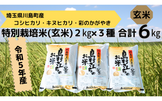 令和5年産【特別栽培米（玄米）】島村さんちの特別栽培米 3種類食べ比べセット（コシヒカリ キヌヒカリ 彩のかがやき 各2ｋｇ 合計6ｋｇ）減農薬  減化学肥料 玄米 米 埼玉県認証 食べ比べ 2023年産 川島町 埼玉 - 埼玉県川島町｜ふるさとチョイス - ふるさと納税サイト