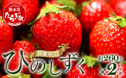 旬】希少！ 熊本県産 いちご【ひのしずく】約520g(260g×2パック) 苺