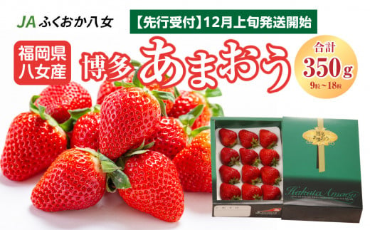 【2023年12月上旬発送開始】博多あまおう350g（化粧箱）｜ＪＡふくおか八女　いちご 苺 イチゴ フルーツ 果物 福岡県産 八女市 贈答用 ギフト  大粒 デラックス規格 人気