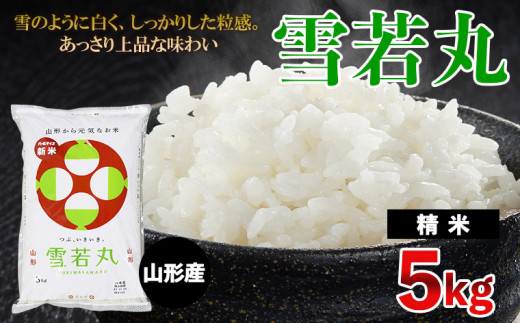 令和6年産] 雪若丸 5kg FZ23-790 ブランド米 山形県 山形市