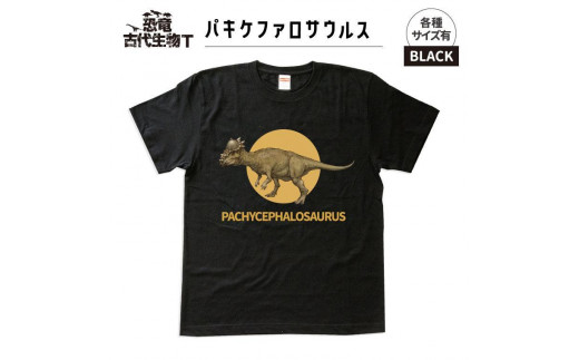 恐竜・古代生物Tシャツ　パキケファロサウルス 036