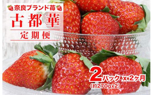 ②【いちごさま】ご購入品 sd1_b07778414057defe36e6e5c845
