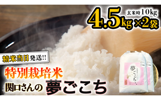 特別栽培米 》 令和5年産 精米日出荷 関口さんの「 夢ごこち 」 4.5kg